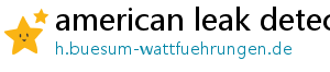 american leak detection